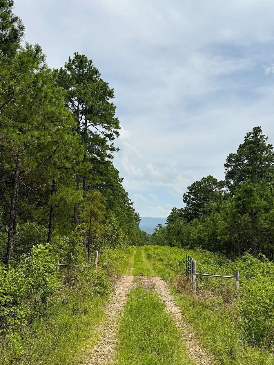 120 Acres of Recreational Land for Sale in Delaware, Arkansas