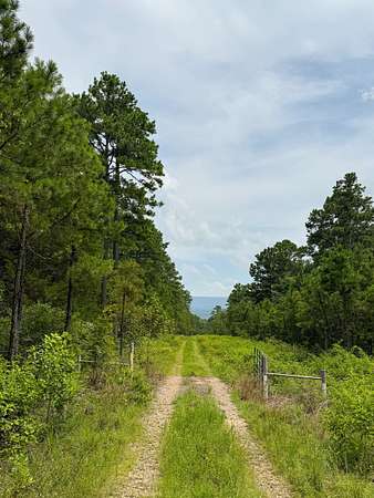 120 Acres of Recreational Land for Sale in Delaware, Arkansas