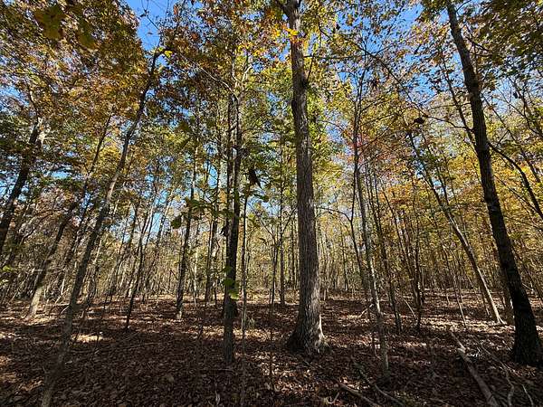 6 Acres of Land for Sale in Oneonta, Alabama
