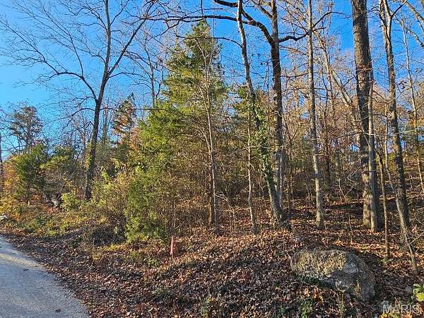 0.22 Acres of Residential Land for Sale in Van Buren, Missouri