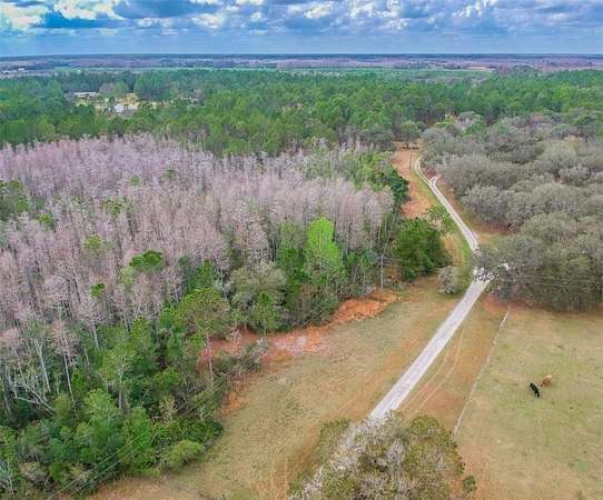 20 Acres of Recreational Land for Sale in Clermont, Florida