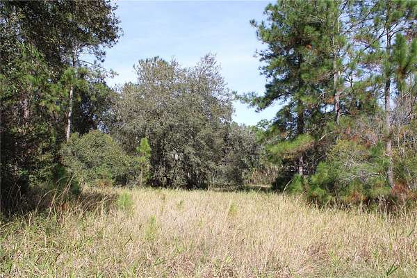 20 Acres of Recreational Land for Sale in Clermont, Florida