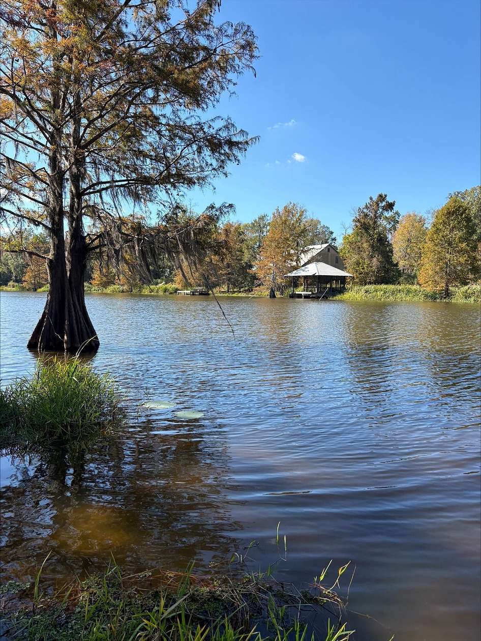 36 Acres of Recreational Land for Sale in Montgomery, Louisiana