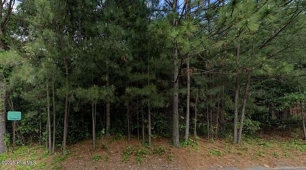 0.29 Acres of Residential Land for Sale in Southern Pines, North Carolina
