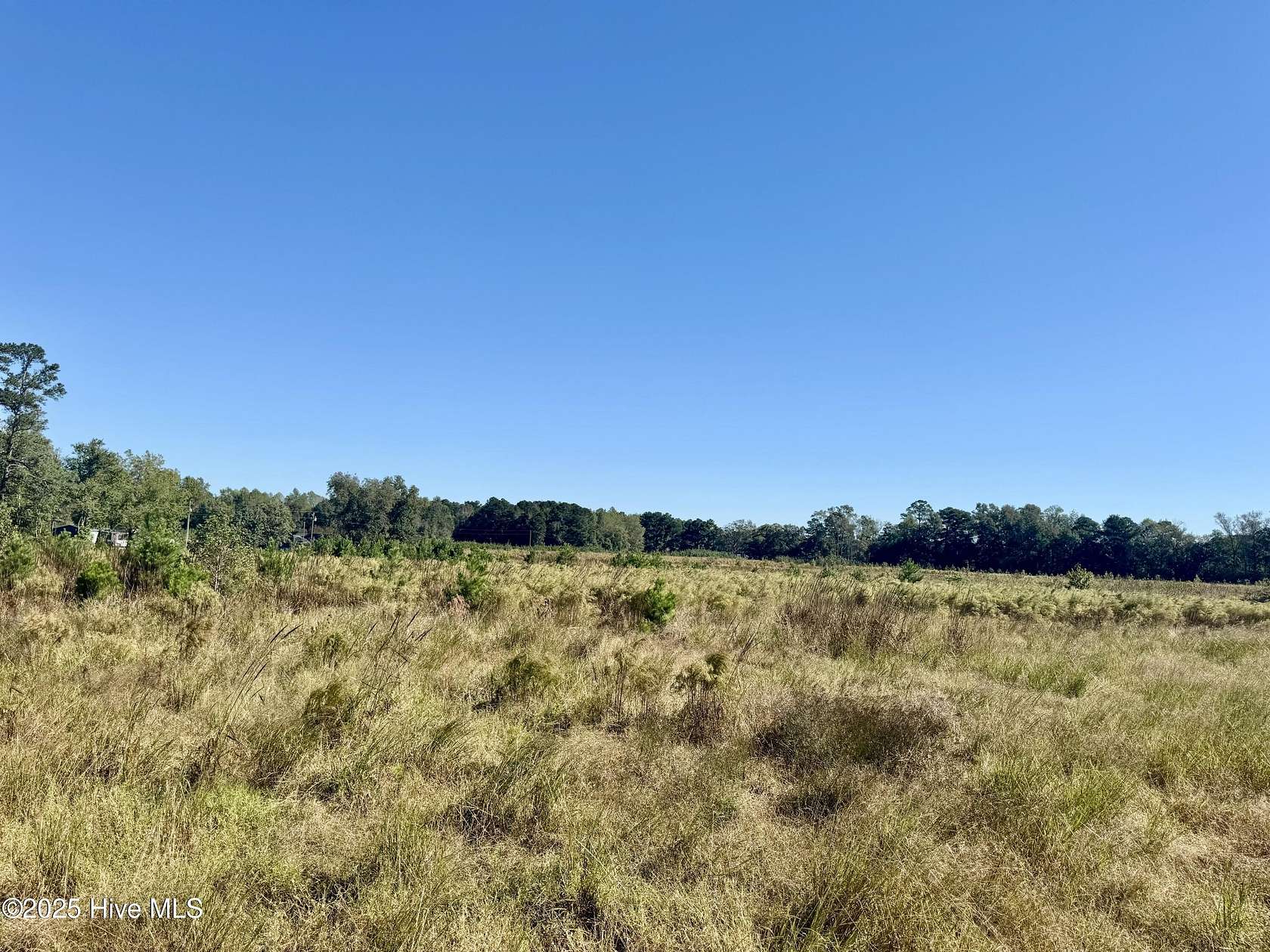 40 Acres of Recreational Land for Sale in Garland, North Carolina