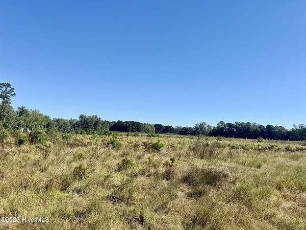 40 Acres of Recreational Land for Sale in Garland, North Carolina
