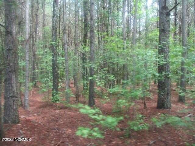 82 Acres of Agricultural Land for Sale in Garland, North Carolina