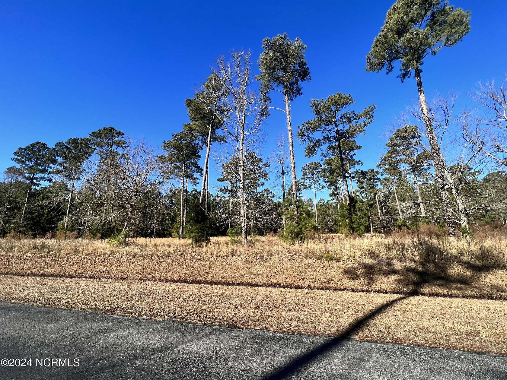 2.8 Acres of Residential Land for Sale in Belhaven, North Carolina