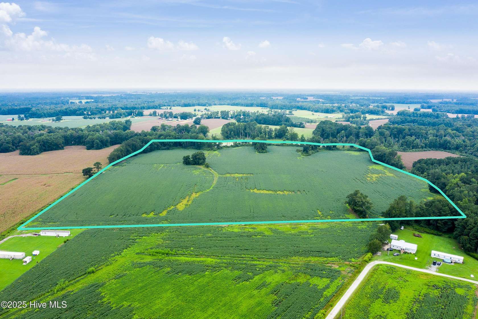 52.5 Acres of Recreational Land & Farm for Sale in Teachey, North Carolina