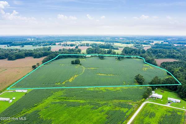 52.5 Acres of Recreational Land & Farm for Sale in Teachey, North Carolina