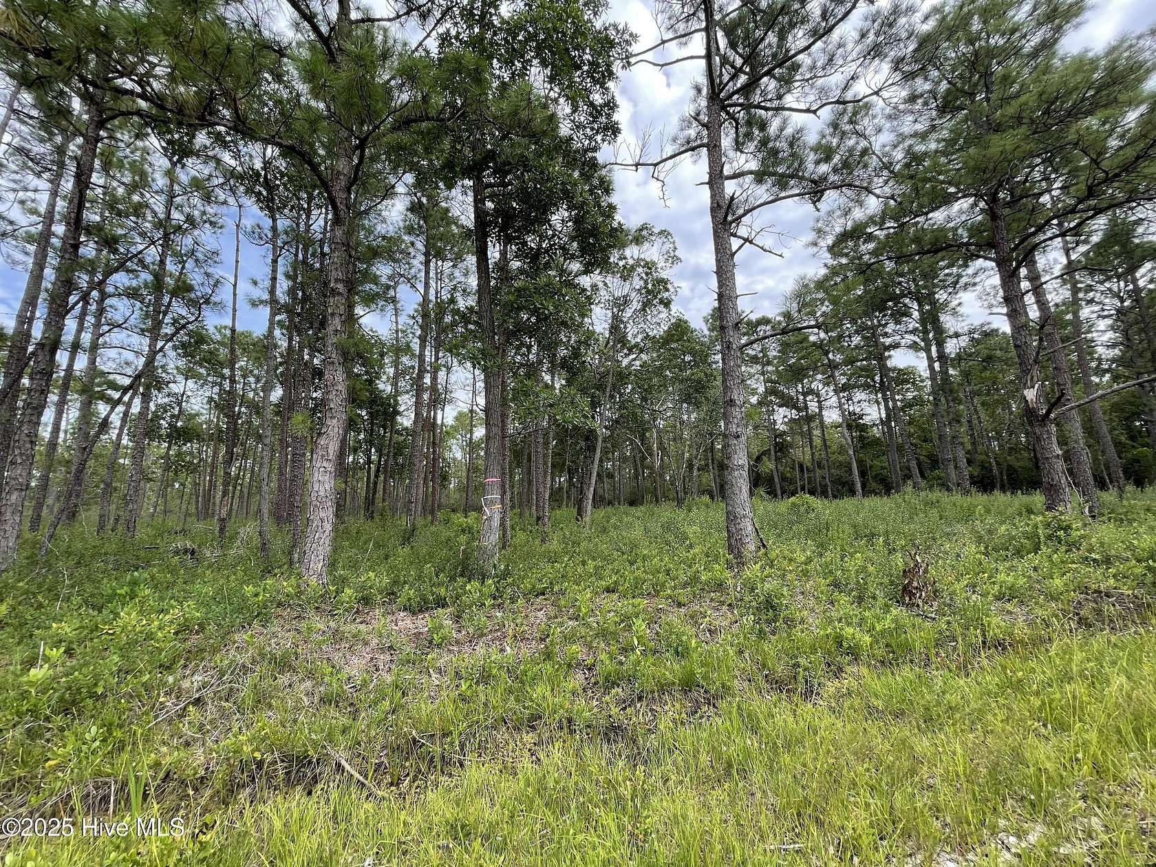 0.75 Acres of Residential Land for Sale in Southport, North Carolina