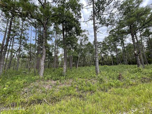 0.75 Acres of Residential Land for Sale in Southport, North Carolina