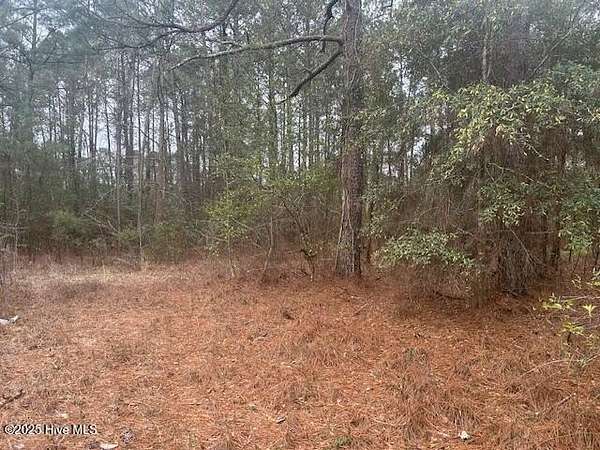 9.4 Acres of Land for Sale in Garland, North Carolina