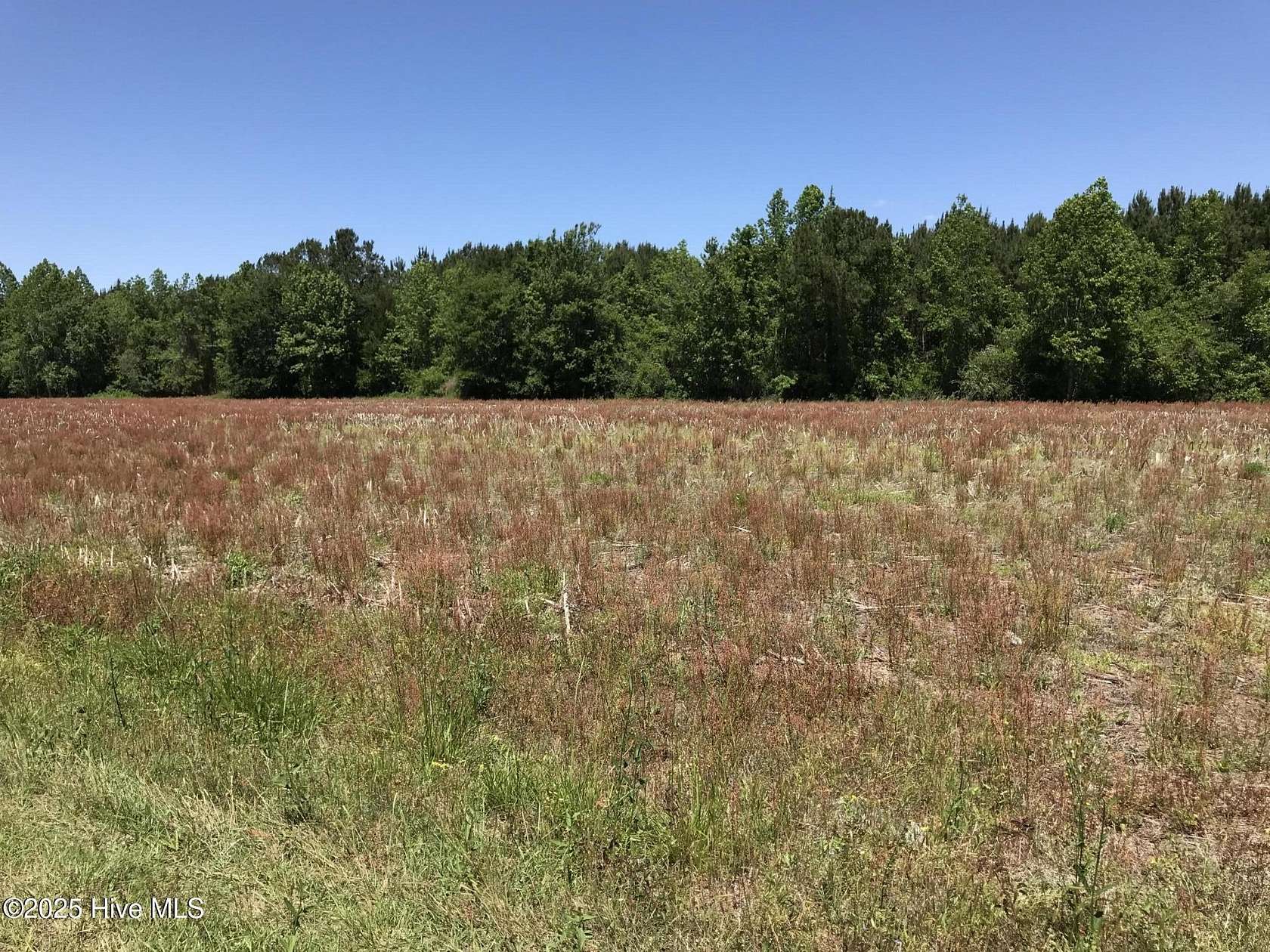 3.8 Acres of Residential Land for Sale in Ash, North Carolina
