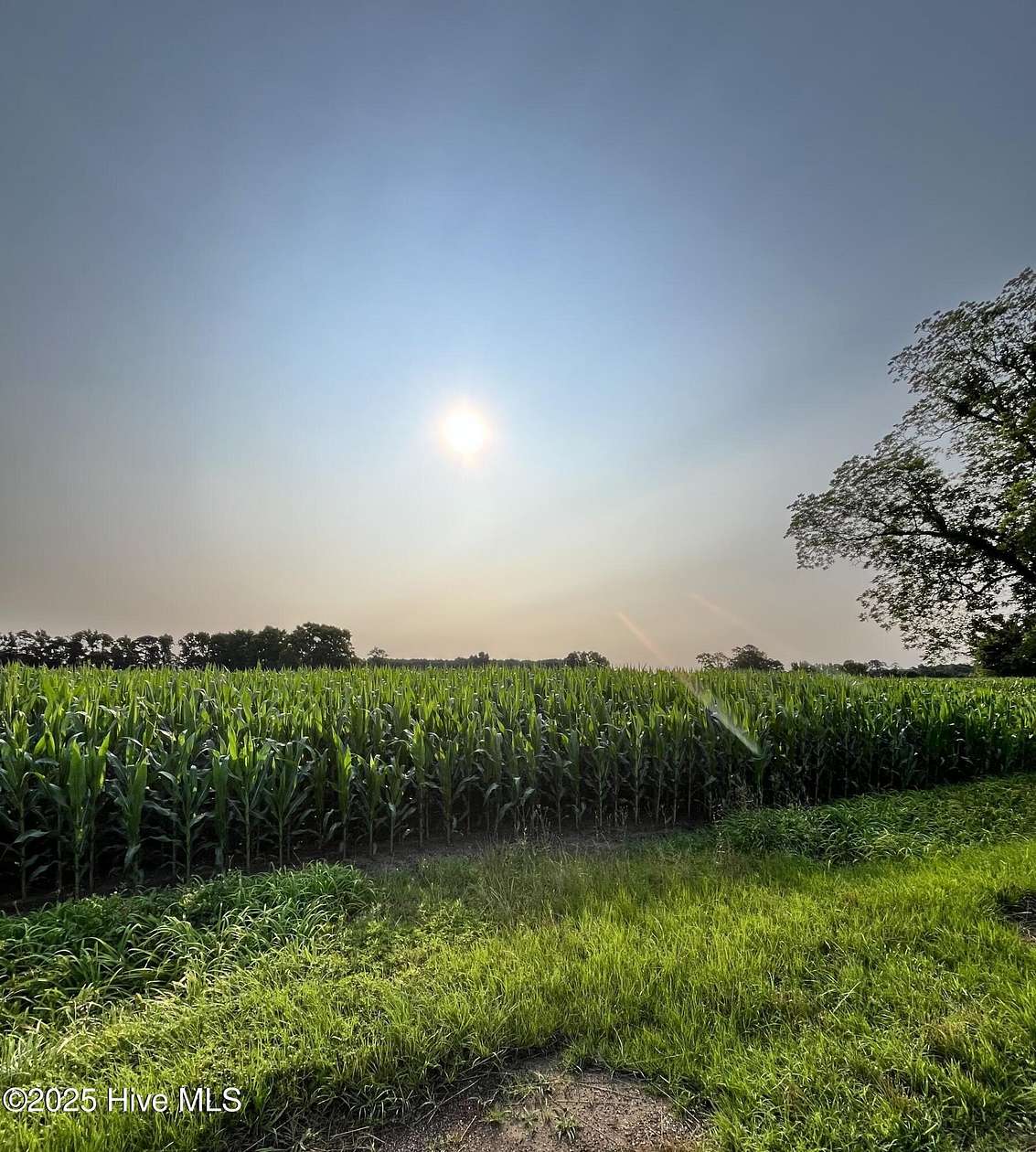 79.4 Acres of Agricultural Land for Sale in Newton Grove, North Carolina