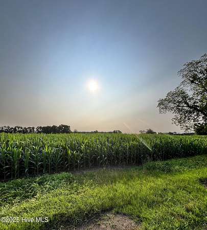 79.4 Acres of Agricultural Land for Sale in Newton Grove, North Carolina