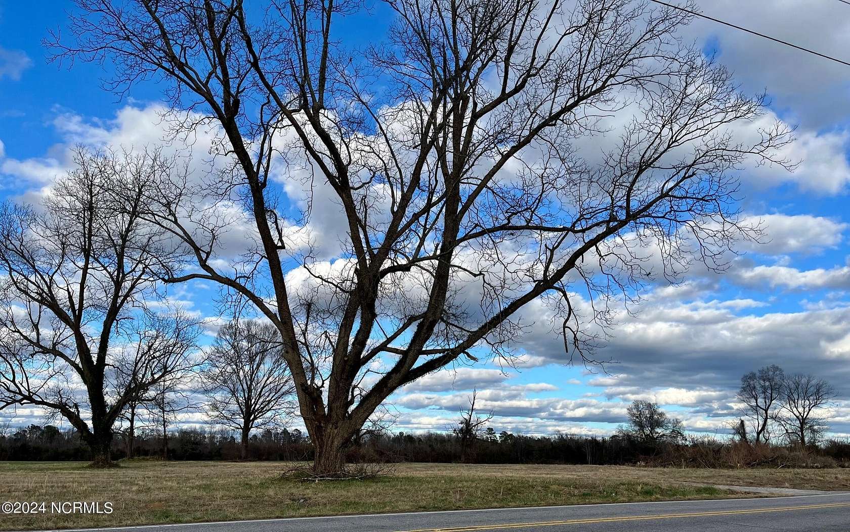 50 Acres of Land for Sale in Whiteville, North Carolina