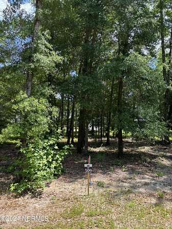 0.26 Acres of Residential Land for Sale in Castle Hayne, North Carolina