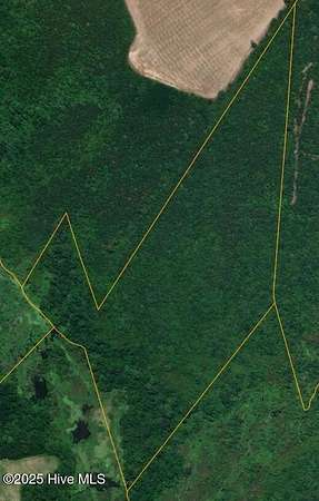 26.6 Acres of Agricultural Land for Sale in Faison, North Carolina