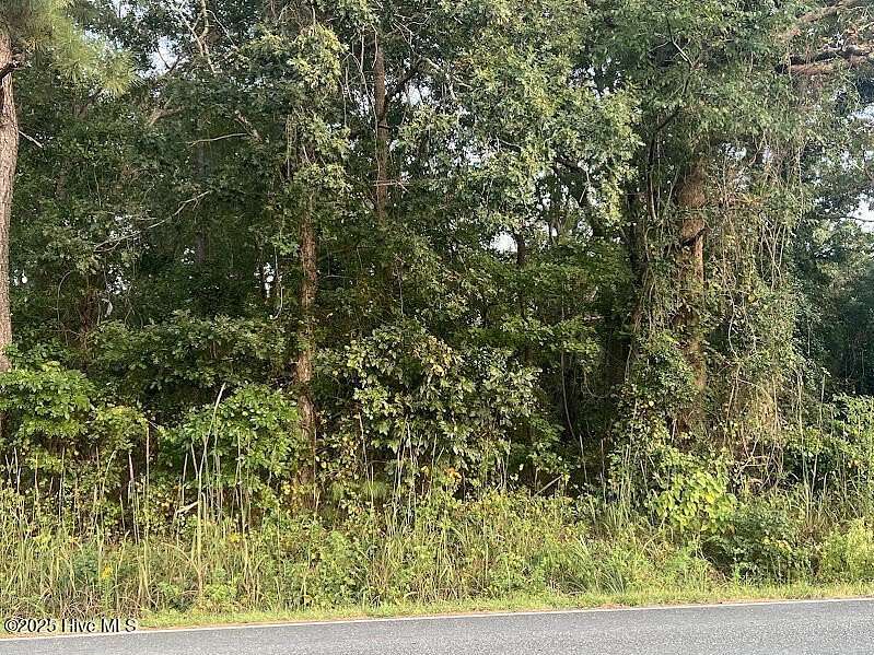 10.3 Acres of Land for Sale in Clarkton, North Carolina