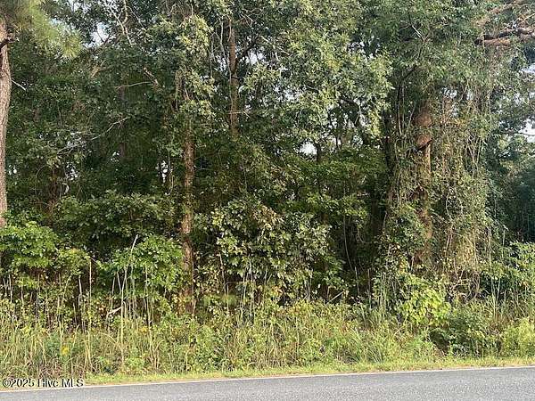 10.3 Acres of Land for Sale in Clarkton, North Carolina