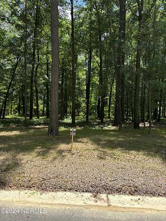 0.22 Acres of Residential Land for Sale in Castle Hayne, North Carolina