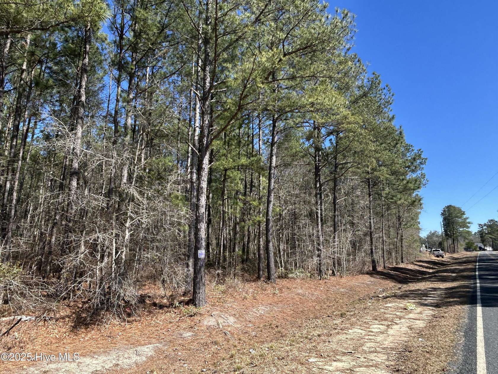 74.8 Acres of Recreational Land for Sale in White Oak, North Carolina