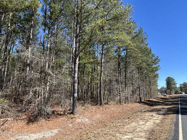 74.8 Acres of Recreational Land for Sale in White Oak, North Carolina