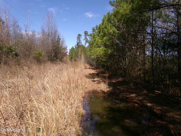 30.6 Acres of Land for Sale in Red Springs, North Carolina