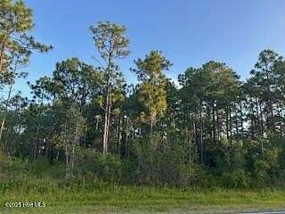 0.48 Acres of Residential Land for Sale in Boiling Spring Lakes, North Carolina