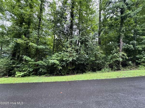 0.17 Acres of Residential Land for Sale in Troy, North Carolina