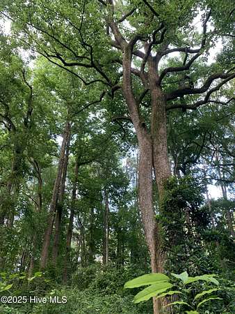 4 Acres of Residential Land for Sale in Southern Pines, North Carolina