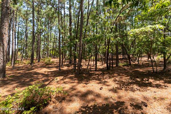0.85 Acres of Land for Sale in West End, North Carolina