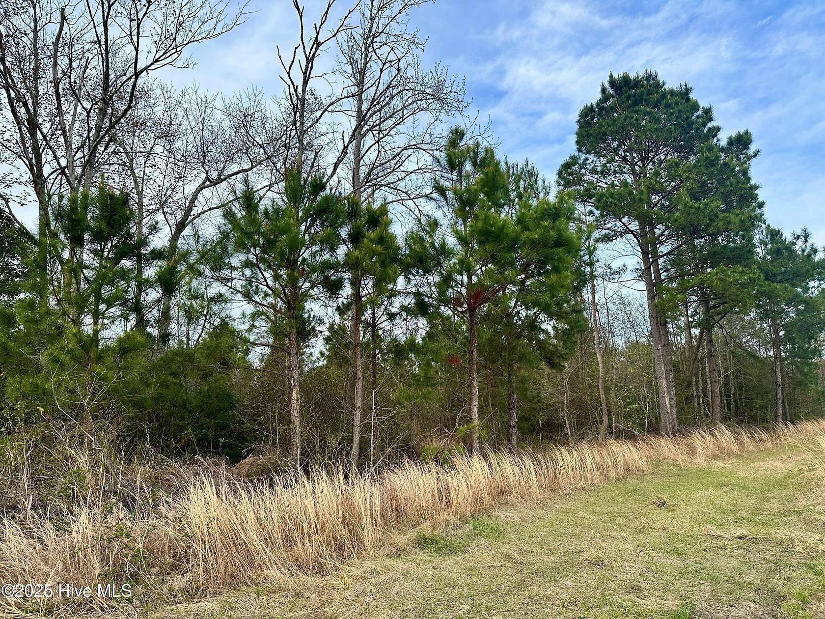 33 Acres of Recreational Land for Sale in Tabor City, North Carolina