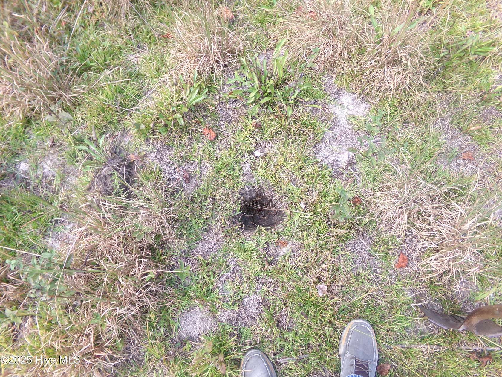 3 Acres of Residential Land for Sale in White Oak, North Carolina