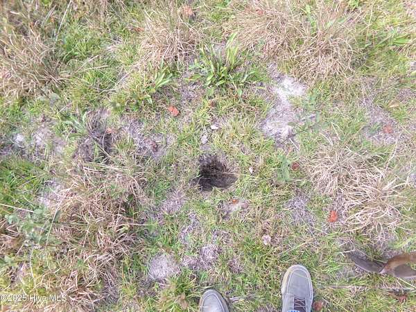 3 Acres of Residential Land for Sale in White Oak, North Carolina