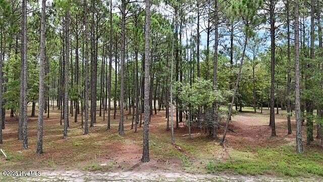 0.43 Acres of Residential Land for Sale in Ocean Isle Beach, North Carolina