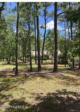 2 Acres of Residential Land with Home for Lease in Hampstead, North Carolina