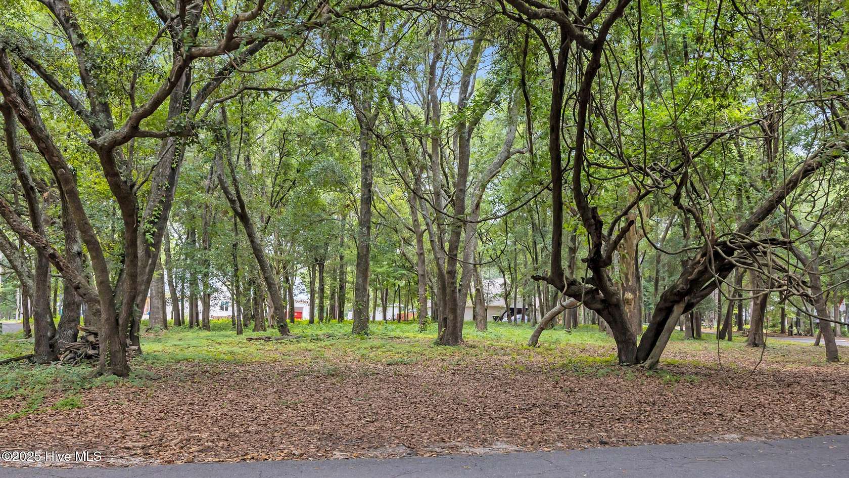 0.24 Acres of Residential Land for Sale in Shallotte, North Carolina