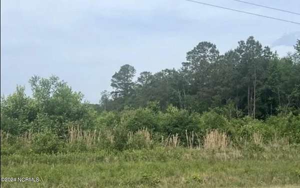 17.8 Acres of Land for Sale in Pikeville, North Carolina