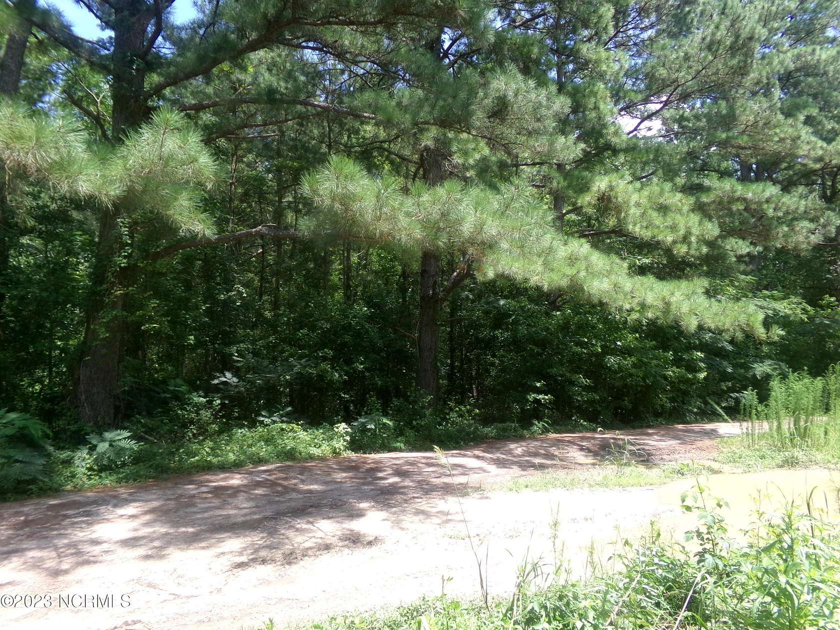 0.99 Acres of Residential Land for Sale in Fairmont, North Carolina