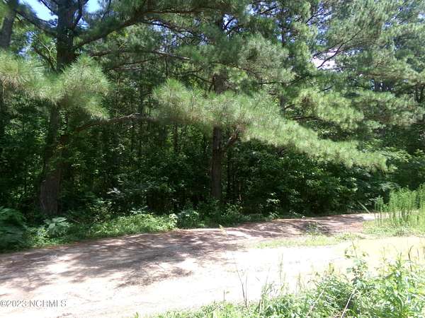 0.99 Acres of Residential Land for Sale in Fairmont, North Carolina