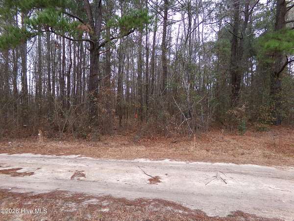 0.99 Acres of Residential Land for Sale in Fairmont, North Carolina
