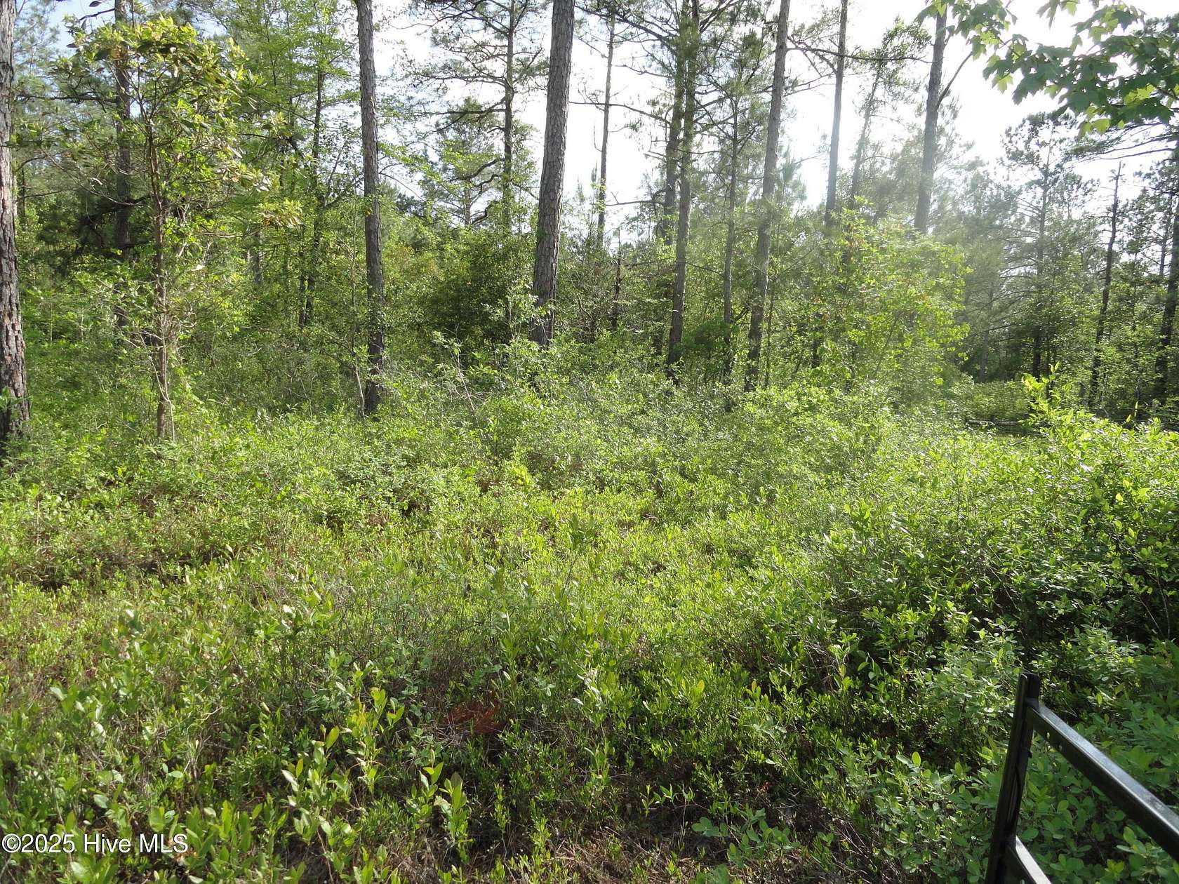 5 Acres of Land for Sale in Burgaw, North Carolina