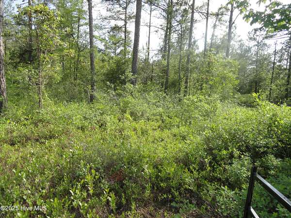 5 Acres of Land for Sale in Burgaw, North Carolina