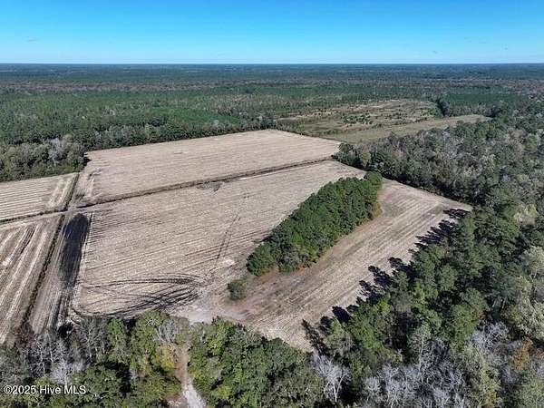136 Acres of Land for Sale in Kelly, North Carolina