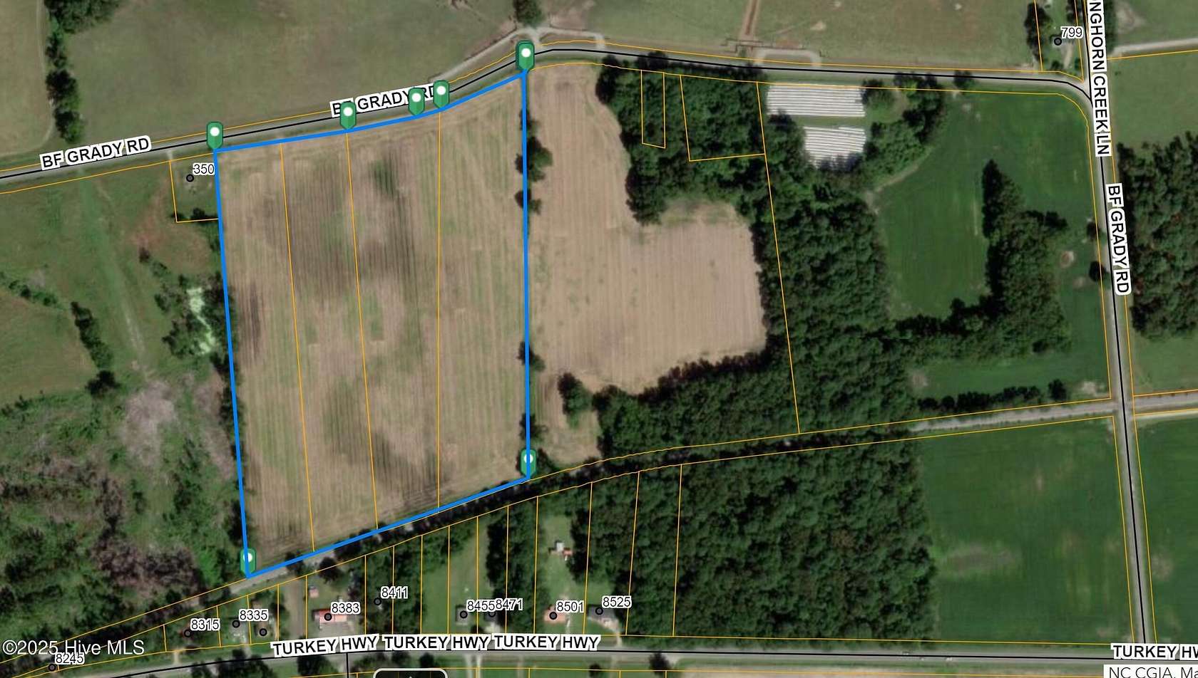21 Acres of Agricultural Land for Sale in Turkey, North Carolina