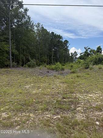 58.3 Acres of Land for Sale in Rockingham, North Carolina