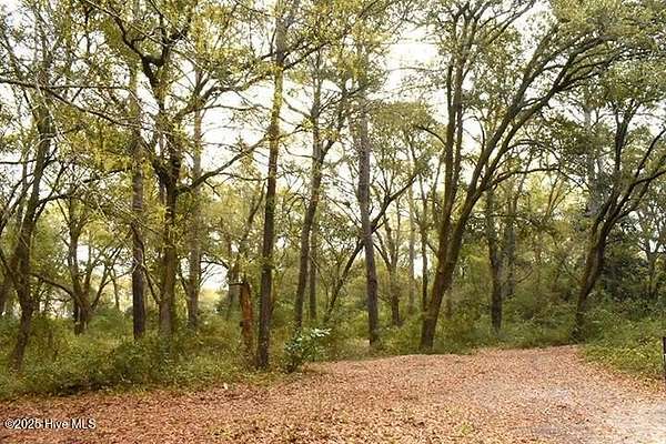 1 Acre of Residential Land for Sale in Hampstead, North Carolina