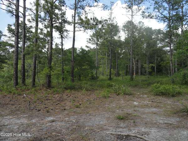 1.89 Acres of Residential Land for Sale in Burgaw, North Carolina